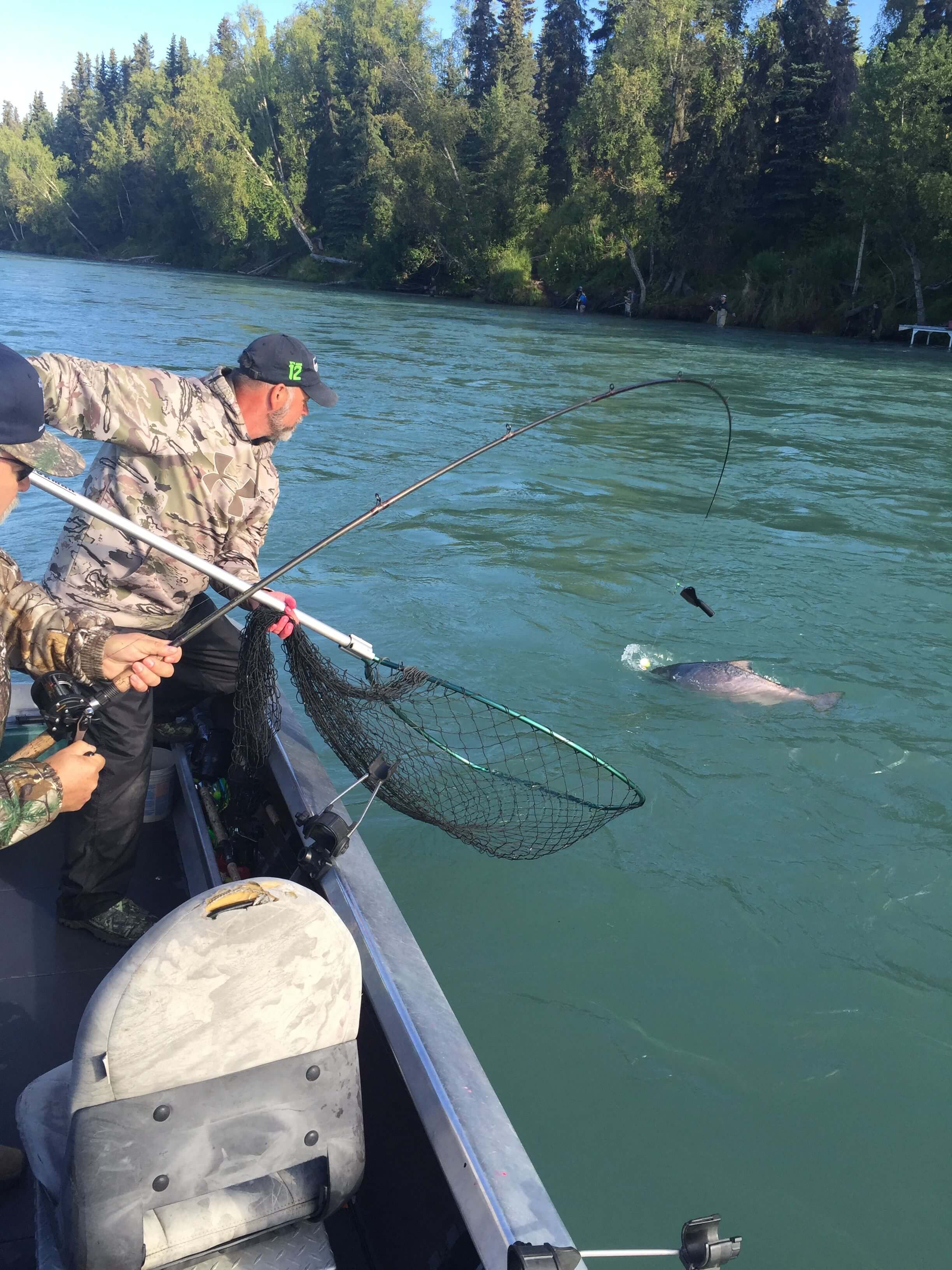 Alaska Salmon Fishing Guides, Kenai River