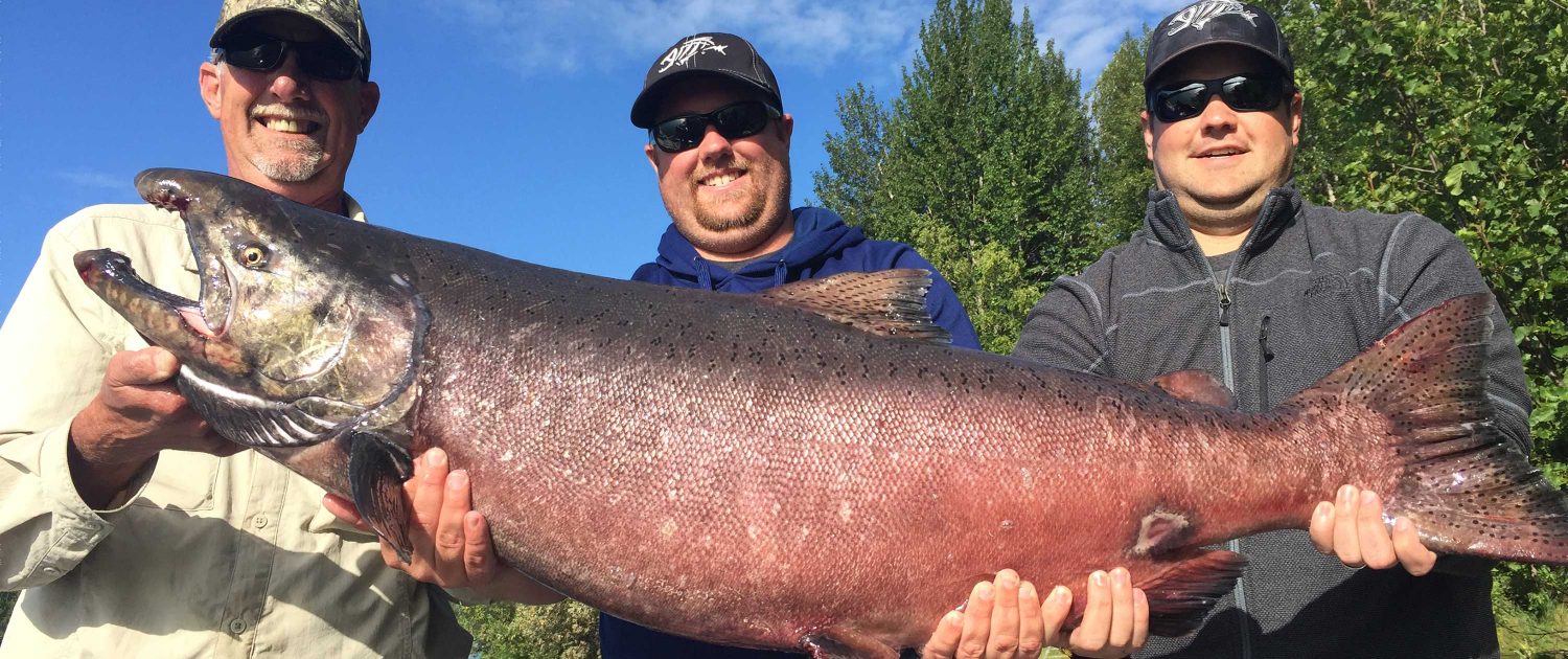 Alaska Salmon Fishing Guides, Kenai River