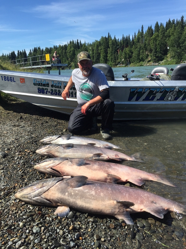 Huge Kenai River King Salmon